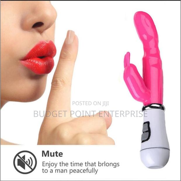 Rabbit Dual Vibrator 12 Speed Clitoral G Spot Adult Sex Toy