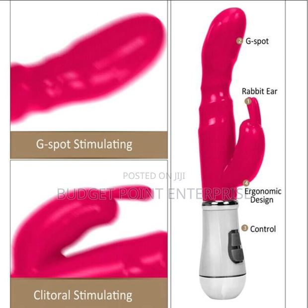 Rabbit Dual Vibrator 12 Speed Clitoral G Spot Adult Sex Toy photo 2