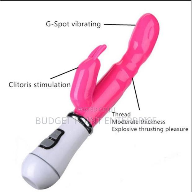 Rabbit Dual Vibrator 12 Speed Clitoral G Spot Adult Sex Toy photo 4