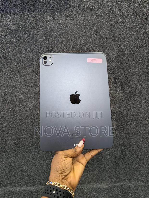 Apple iPad Pro 11 (2024) 256 GB Gray photo 2