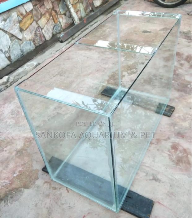 Aquarium Point Kill Fish Tank · Photo 2
