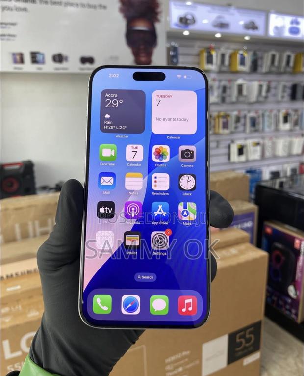 Apple iPhone 15 Pro Max 256 GB Silver