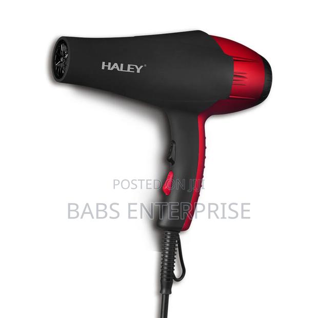 Haley Hair Dryer Hy-4012
