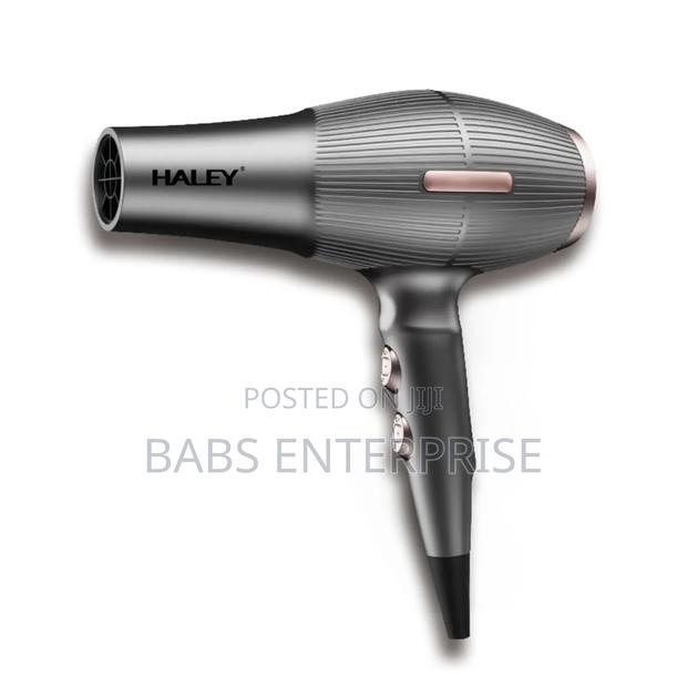 Haley Hair Dryer Hy-4013