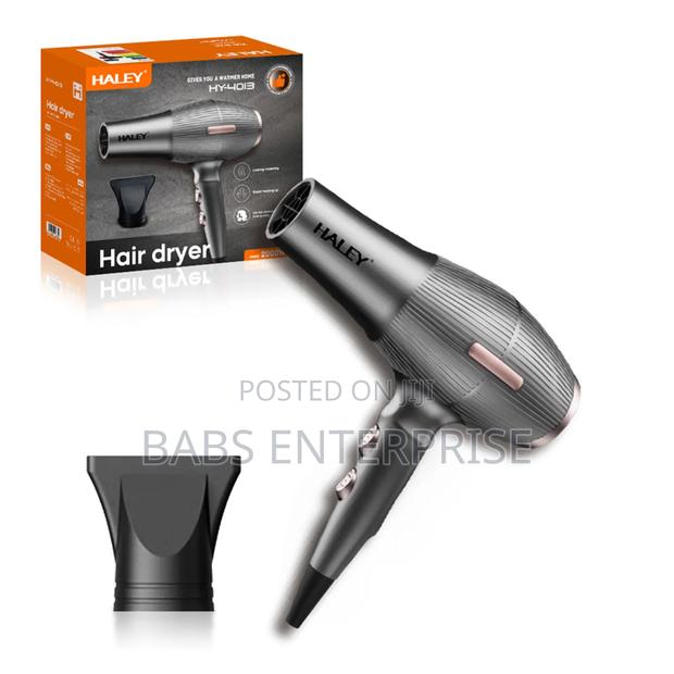 Haley Hair Dryer Hy-4013 photo 3