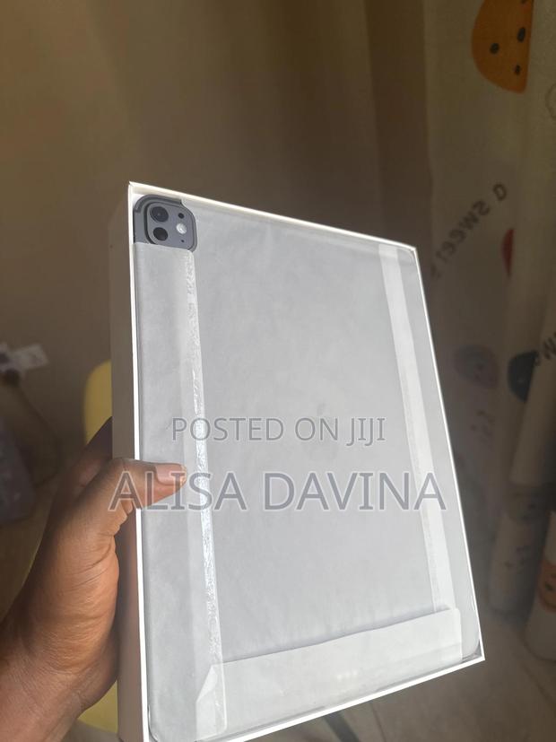 Apple iPad Pro 13 (2024) 256 GB Silver photo 2