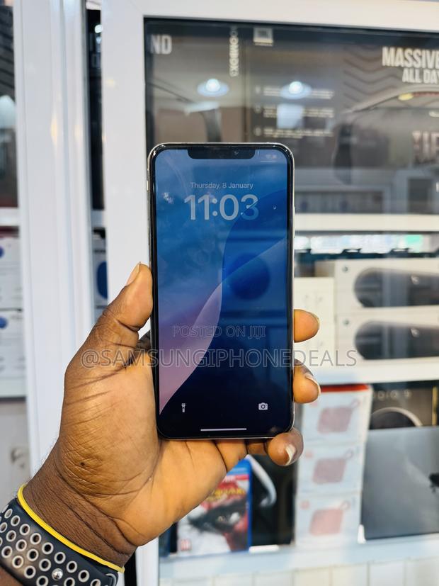 Apple iPhone XS Max 512 GB Silver photo 3