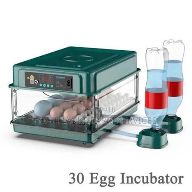 30 Capacity Incubator · Photo 2