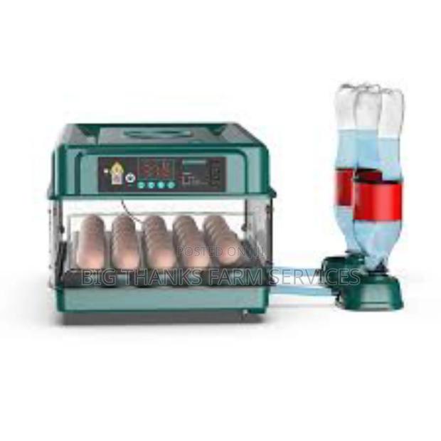 30 Capacity Incubator,Dual Power · Photo 2