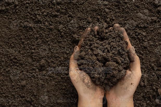 Black Soil