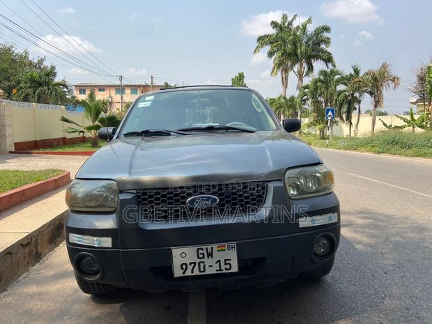 Ford Escape 2006 Gray