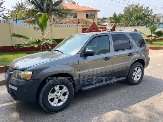 Ford Escape 2006 Gray