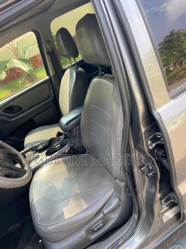 Ford Escape 2006 Gray