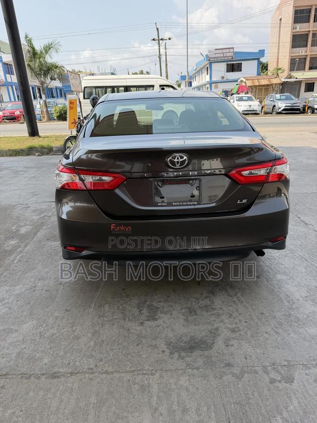 Toyota Camry 2019 Brown