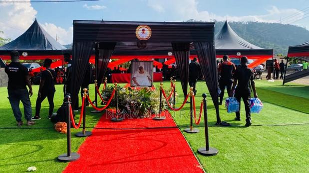Green Carpet and Decorations for Events · Photo 3