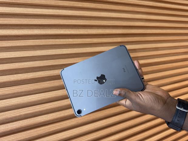 Apple iPad mini 6 64 GB Gray