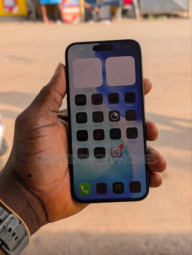 Apple iPhone 15 Pro Max 256 GB Gray