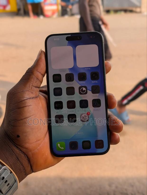 Apple iPhone 15 Pro Max 256 GB Gray