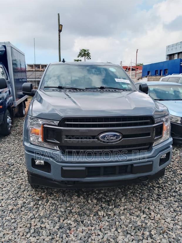 Ford F-150 2019 Gray