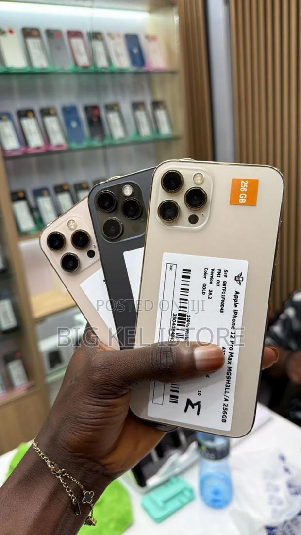 Apple iPhone 12 Pro Max 256 GB