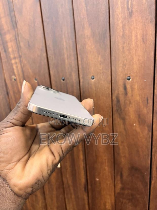 Apple iPhone 15 Pro Max 256 GB photo 4