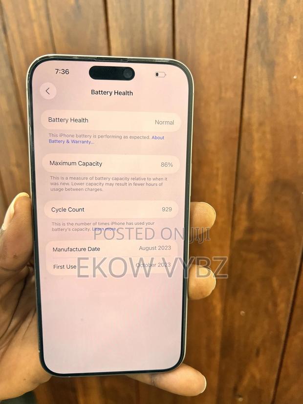 Apple iPhone 15 Pro Max 256 GB
