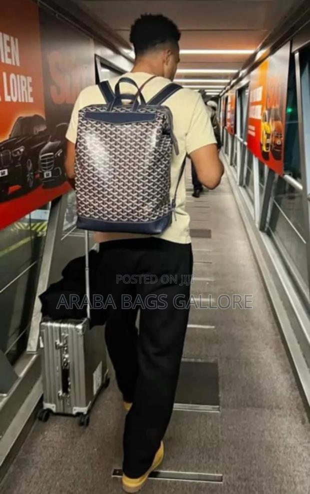 Original Goyard Designer Leather Backpack · Photo 2