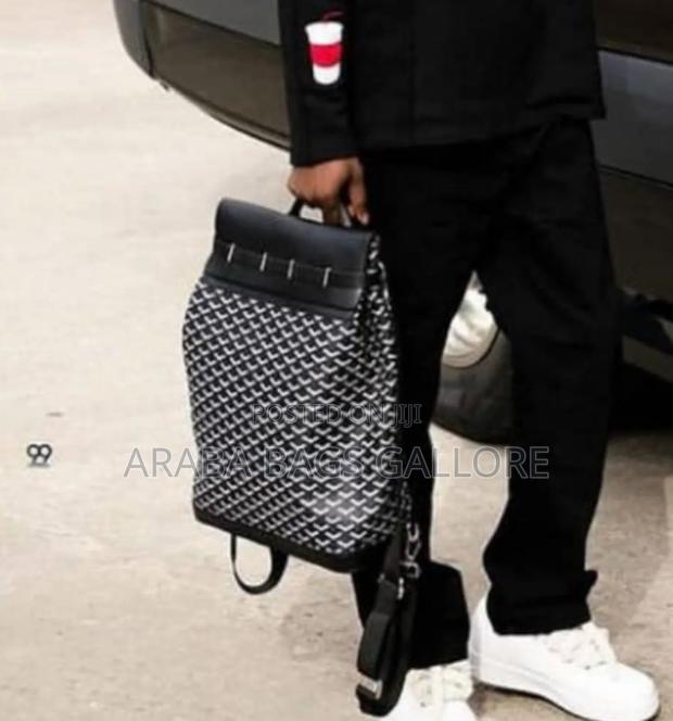 Original Goyard Designer Leather Backpack · Photo 3