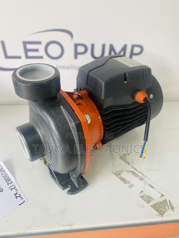 Acm150b2 Leo 2hp Water Pump