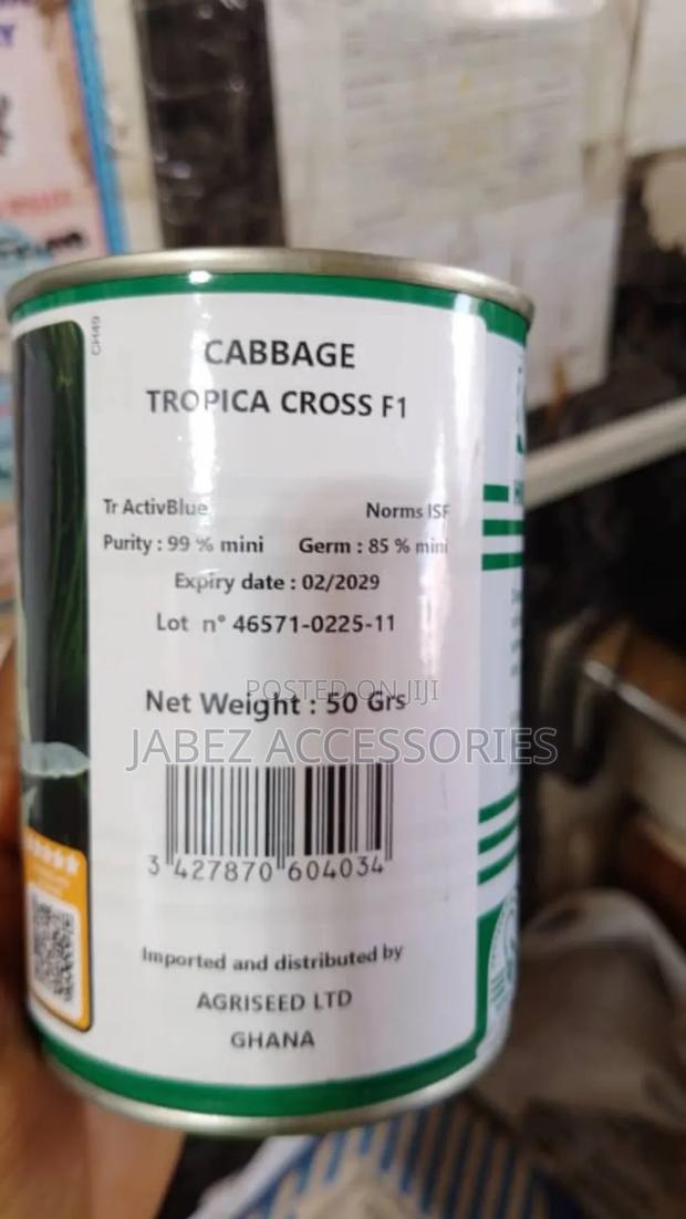 Cabbage Seed photo 2