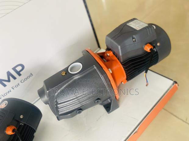 Most Excellent Leo 3hp Cast Water Pump