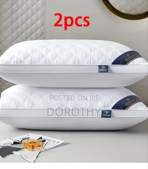 A Pair of Pillow