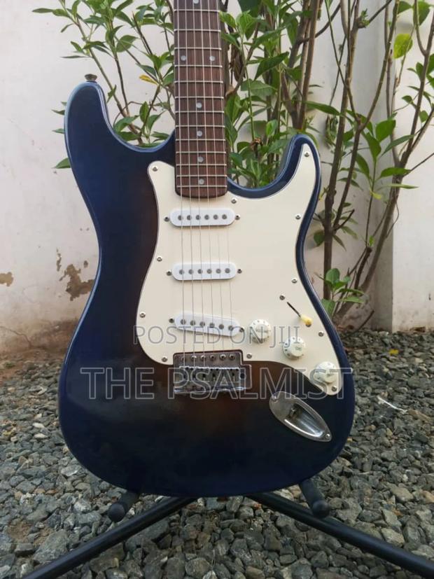 Nature by Jixing Stratocaster Guitar photo 2