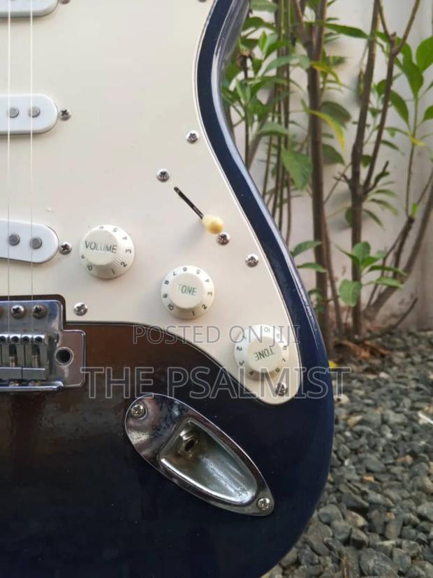Nature by Jixing Stratocaster Guitar photo 3
