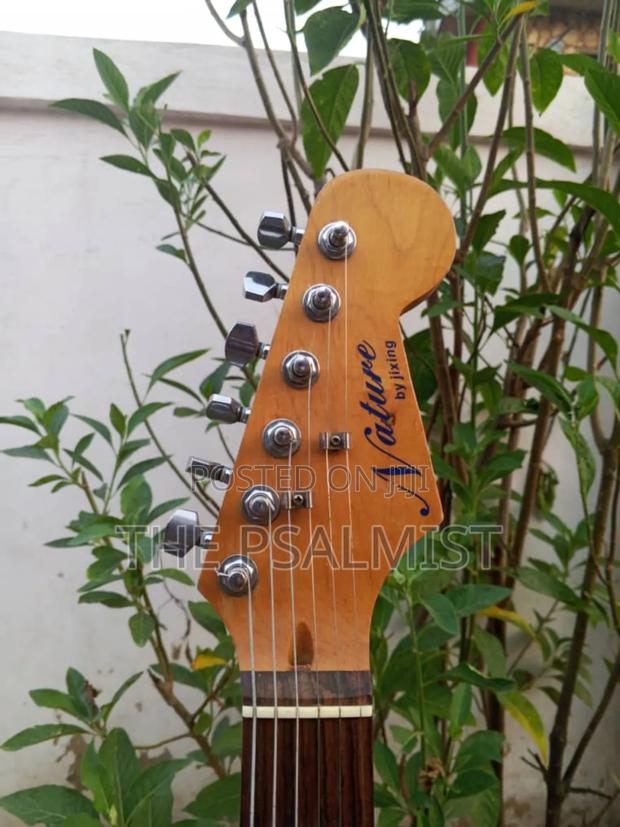 Nature by Jixing Stratocaster Guitar photo 4
