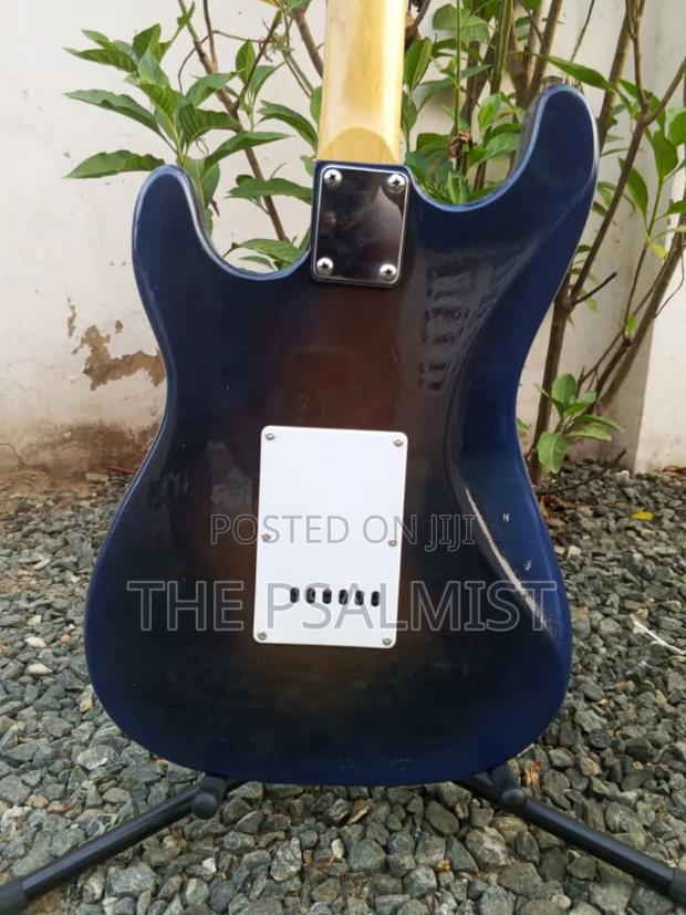 Nature by Jixing Stratocaster Guitar photo 5