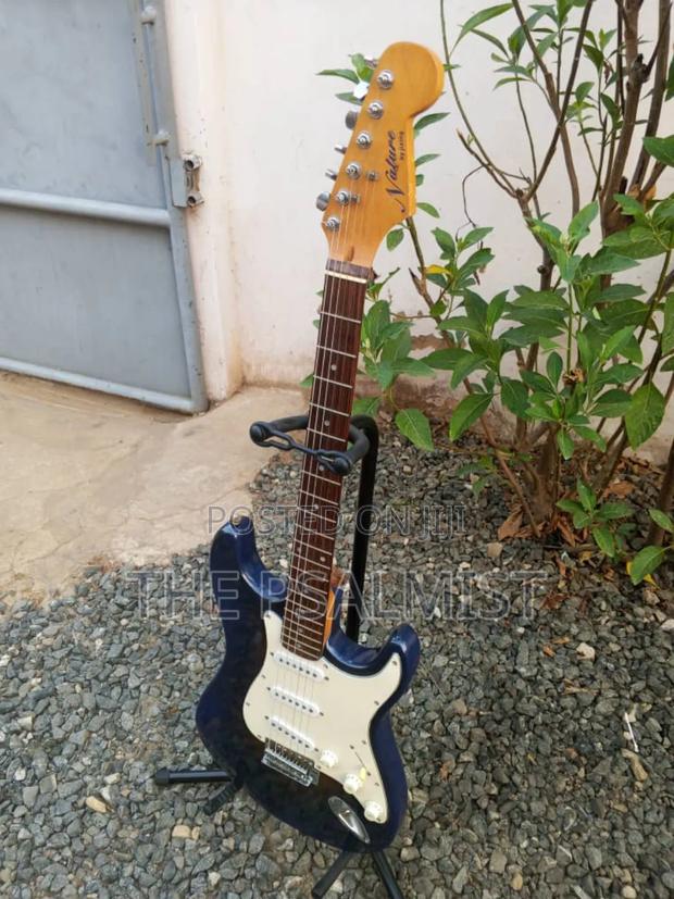 Nature by Jixing Stratocaster Guitar photo 6