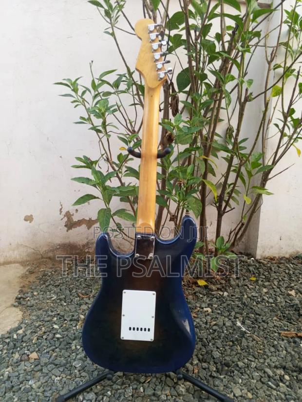 Nature by Jixing Stratocaster Guitar photo 7