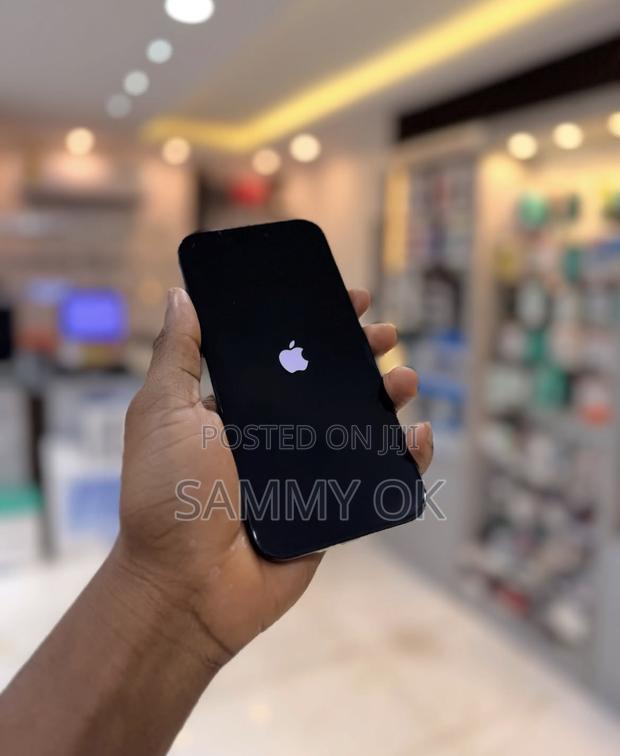 Apple iPhone 16 Pro Max 256 GB Black