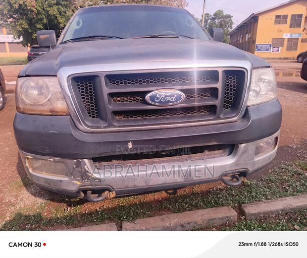 Ford F-150 XLT 2010 Gray