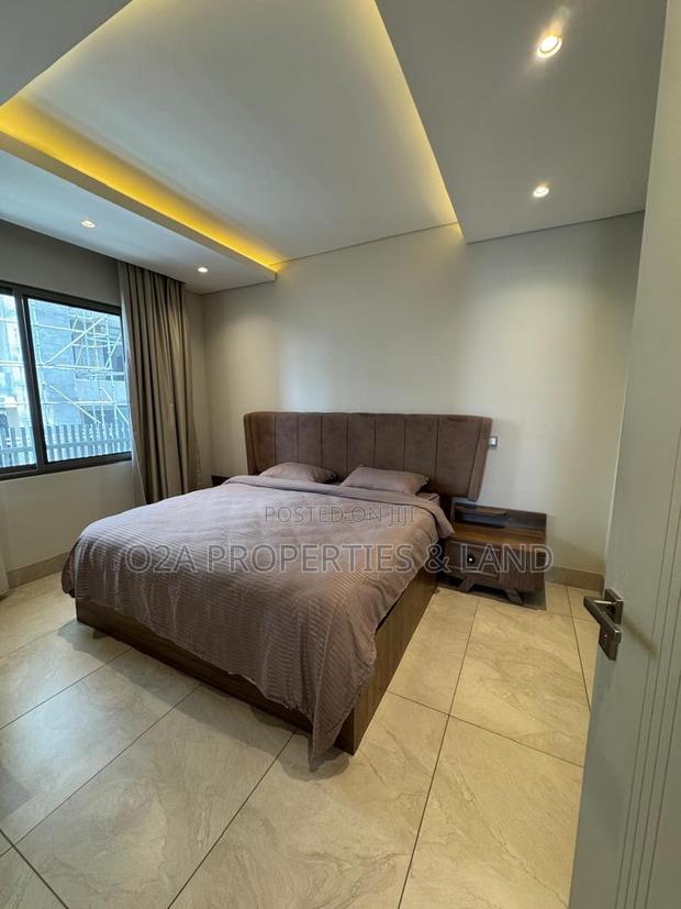 Furnished 2bdrm Apartment in Cantonments, Acquinas for sale photo 7