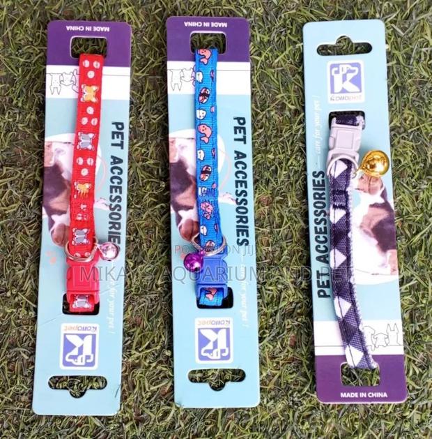 Cute Collars for Pets · Photo 2