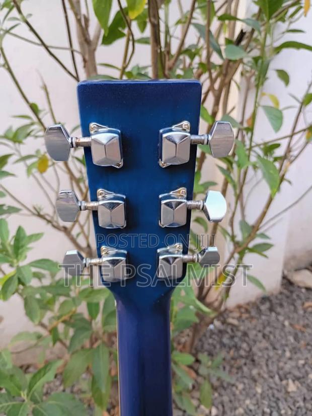 Freedom Fag640ceq/BLS Semi Acoustic Guitar With Padded Bag photo 2