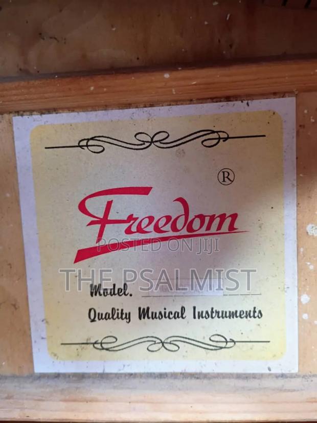 Freedom Fag640ceq/BLS Semi Acoustic Guitar With Padded Bag photo 3