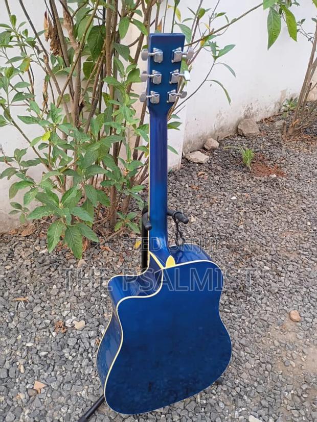 Freedom Fag640ceq/BLS Semi Acoustic Guitar With Padded Bag photo 4