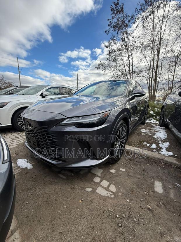 New Lexus RX 350 2023 Gray
