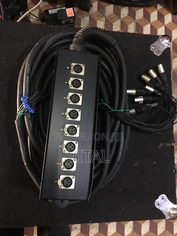 Sssnake Audio Frequency Controlling Cable photo 2