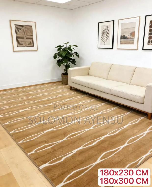 Quality Design Rabbit Hair Carpet Available in Different Colours photo 4