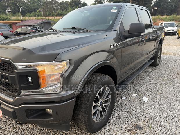 Ford F-150 XLT 2021 Gray