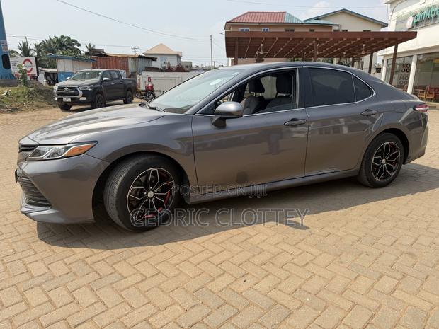 Toyota Camry LE (2.5L 4cyl 8A) 2019 Gray